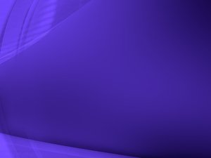 服务全方位解析